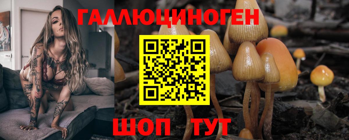 Галлюциногенные грибы прущие грибы Сыктывкар